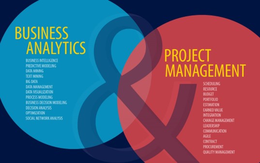 Project Management & Business Analysis Team